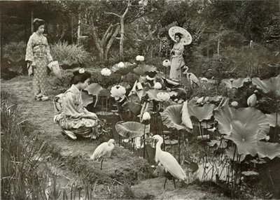 Au pays des lotus, 1910 - Herbert Ponting