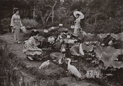 Dans un jardin de lotus - Herbert Ponting