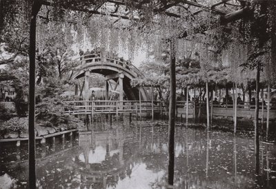 Kameido - Herbert Ponting