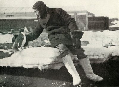 Lieut. Rennick et un pingouin amical, 1911, 1913 - Herbert Ponting