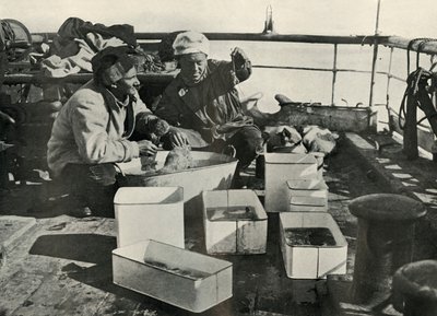 Lillie et Dr. Levick triant une prise de chalut, vers 1910-1913, 1913 - Herbert Ponting