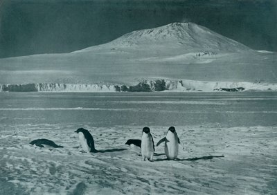 Mont Erebus, vers 1911, 1913 - Herbert Ponting