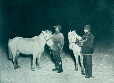 Officiers subalternes Crean et Evans exerçant leurs poneys en hiver, 1911 - Herbert Ponting