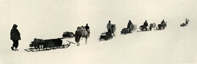 Poneys en marche, 1911 - Herbert Ponting