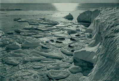 Phoques se prélassant sur la glace en formation au large du cap Evans, vers 1910-1913, 1913 - Herbert Ponting