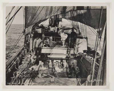 Le pont du Terra Nova - Herbert Ponting