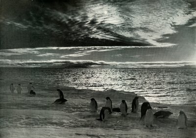 Le soleil de minuit dans le détroit de McMurdo - Herbert Ponting
