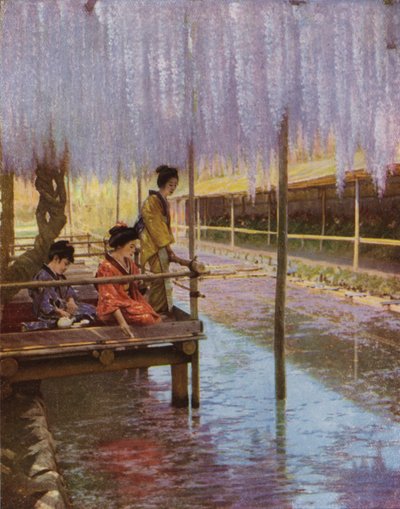 Sous les glycines pourpres - Herbert Ponting