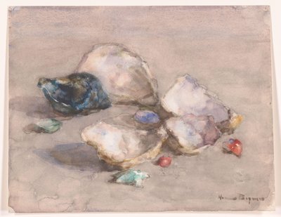 Coquillages sur la plage - Herman Bogman (signed by artist)