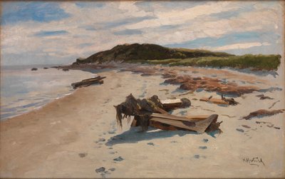 Cape Cod, Plage - Herman Hartwich