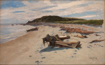Cape Cod, plage, 1894 - Herman Hartwich