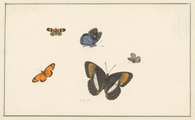 Cinq papillons - Herman Henstenburgh
