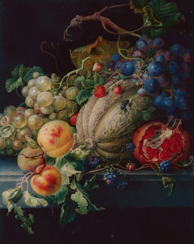 Nature morte de fruits sur un rebord de pierre - Herman Henstenburgh