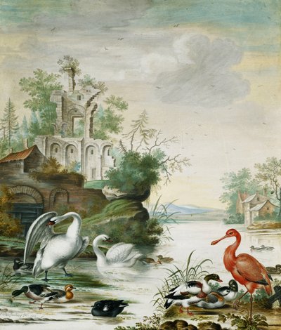 Cygnes, une Spatule, un Canard Colvert, un Canard Siffleur et d