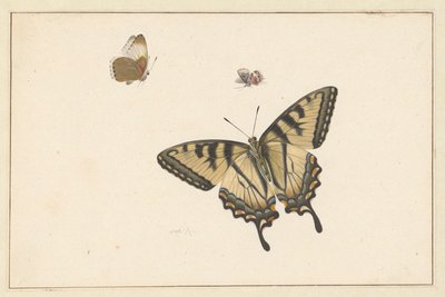 Trois papillons - Herman Henstenburgh