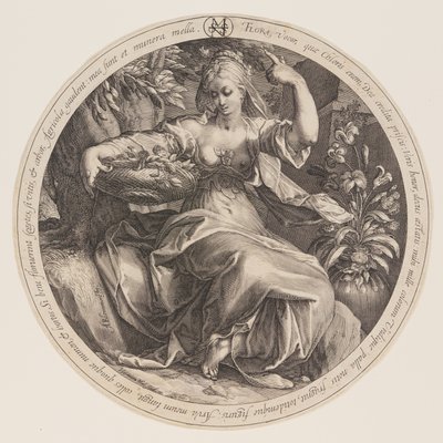 Flore - Herman Jansz. Muller