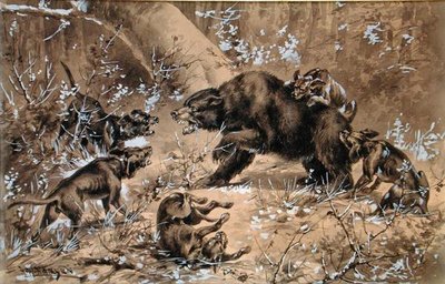 Chasse à l