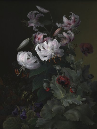  - Hermania Sigvardine Neergaard