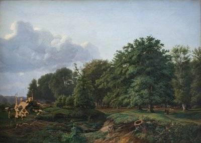 Une forêt près de Hellebæk dans le nord de la Zélande. Après-midi. - Hermann Carmiencke