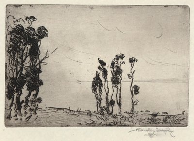 Paysage de Rivage - Hermann Dudley Murphy
