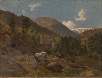 Paysage norvégien - Hermann Kauffmann the Elder