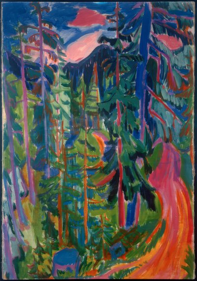 Paysage forestier près de Davos - Hermann Scherer