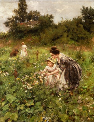 Délice d
