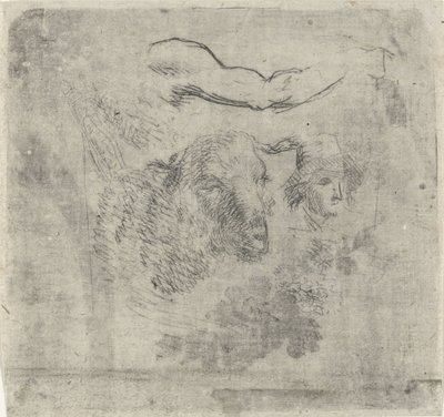 Feuille d