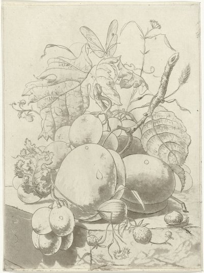 Fruits et une branche avec un papillon - Hermanus Fock