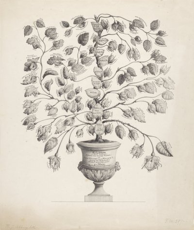 Arbre généalogique de la Maison d