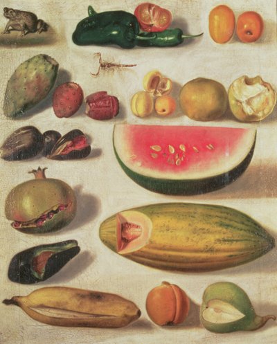 Nature morte avec fruits et crapaud - Hermenegildo Bustos