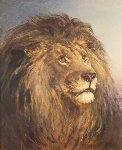 Une tête de lion - Heywood Hardy