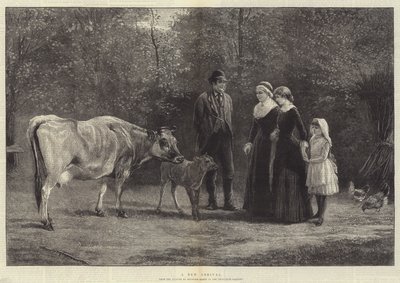 Une nouvelle arrivée - Heywood Hardy