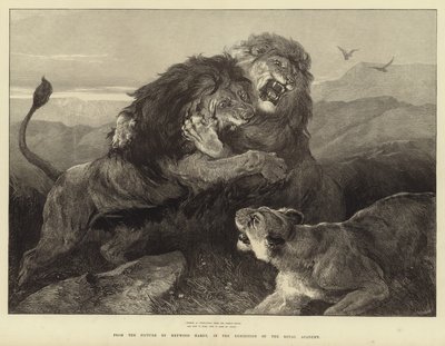 Féroce comme des feux conflictuels, le combat brûle - Heywood Hardy