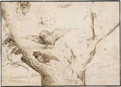 Nid de hiboux. Vers 1505-10 - Hieronymus Bosch