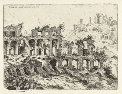 Vue du Colisée et du Palatin - Hieronymus Cock