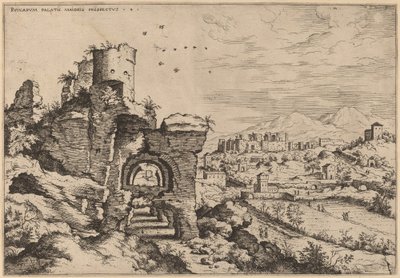 Ruines sur le Palatin, vue vers les thermes de Caracalla - Hieronymus Cock