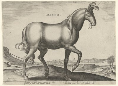 Cheval d