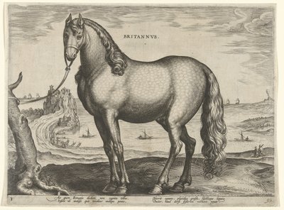 Cheval de Bretagne (Britannus) (Paardenrassen uit de Koninklijke stallen van Don Juan van Oostenrijk, Equile Ioannis Austriaci Caroli) - Hieronymus Wierix