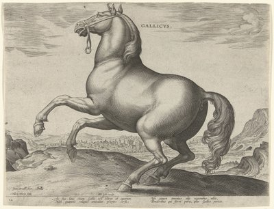 Cheval de France (Gallicus) (Paardenrassen uit de Koninklijke stallen van Don Juan van Oostenrijk, Equile Ioannis Austriaci Caroli) - Hieronymus Wierix