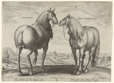 Cheval de Rome et une jument porteuse - Hieronymus Wierix