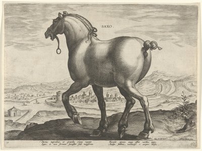Cheval de Saxe - Hieronymus Wierix