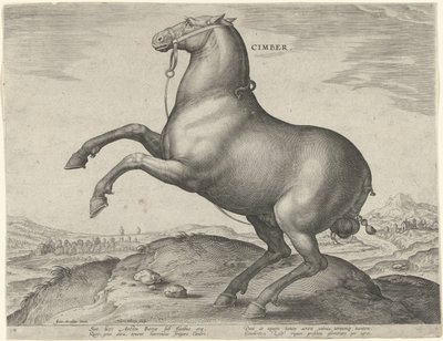 Cheval de Scythie (Cimber) (Paardenrassen uit de Koninklijke stallen van Don Juan van Oostenrijk, Equile Ioannis Austriaci Caroli) - Hieronymus Wierix