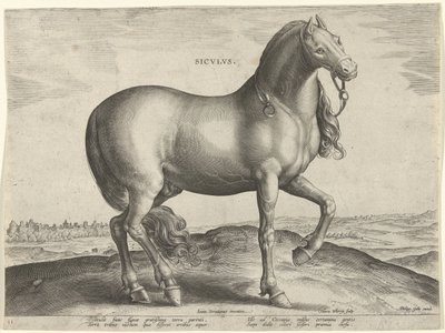 Cheval de Sicile (Siculus) - Hieronymus Wierix