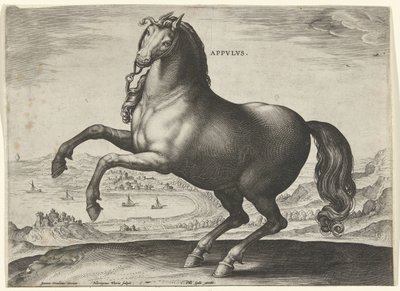 Cheval du sud de l