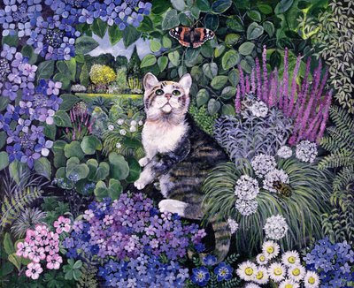 Bulles - Hilary Jones