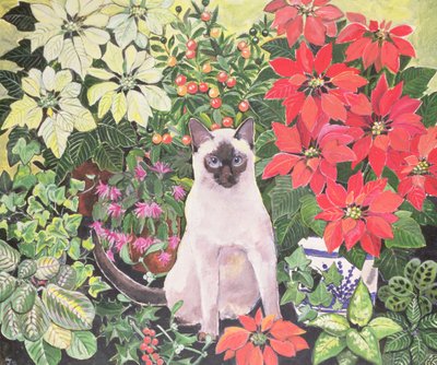 Poinsettias - Hilary Jones