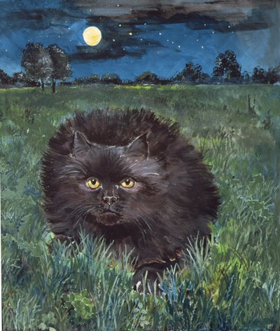 Le Chat et la Lune - Hilary Jones