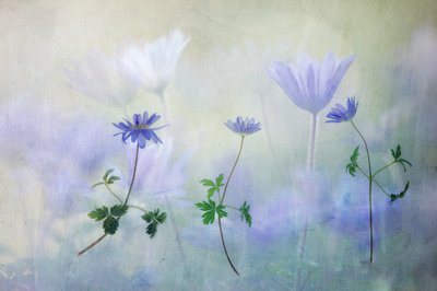  - Hilda van der Lee