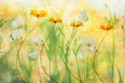  - Hilda van der Lee